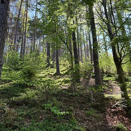 Na Zatoni Villa Větřní